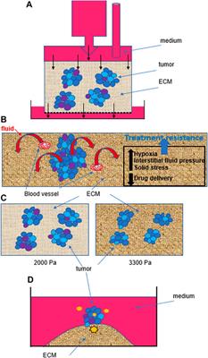 3D Cell Culture for the Study of Microenvironment-Mediated Mechanostimuli to the Cell Nucleus: An Important Step for Cancer Research